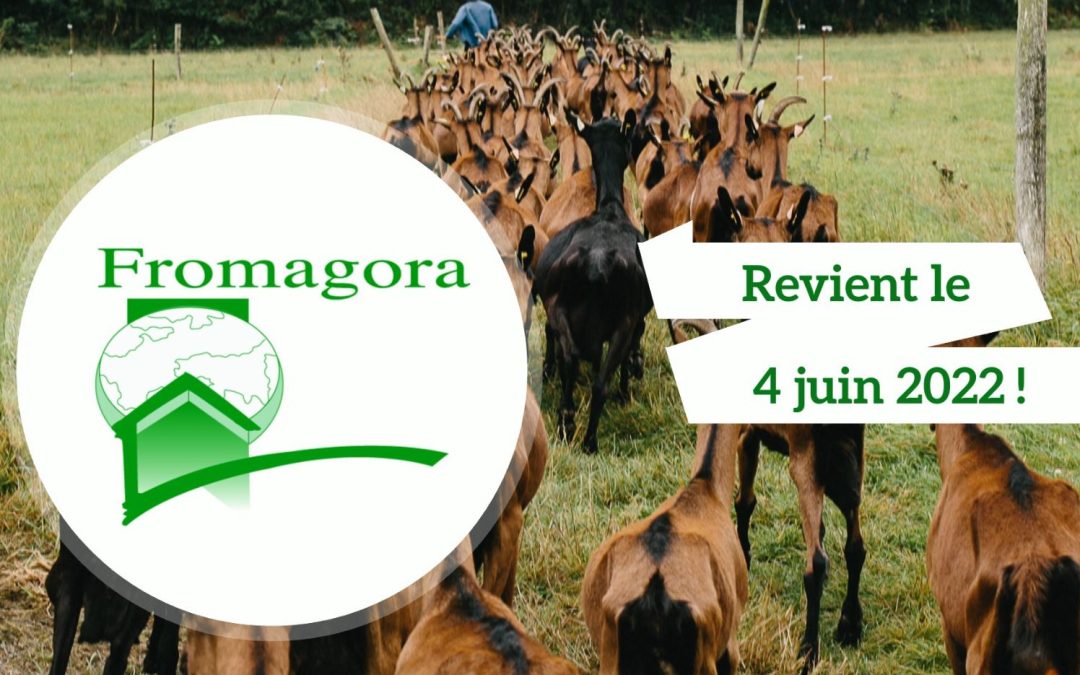 Communiqué : La Fête des Fromages et du Rocamadour AOP et Fromagora reviennent en juin 2022 !