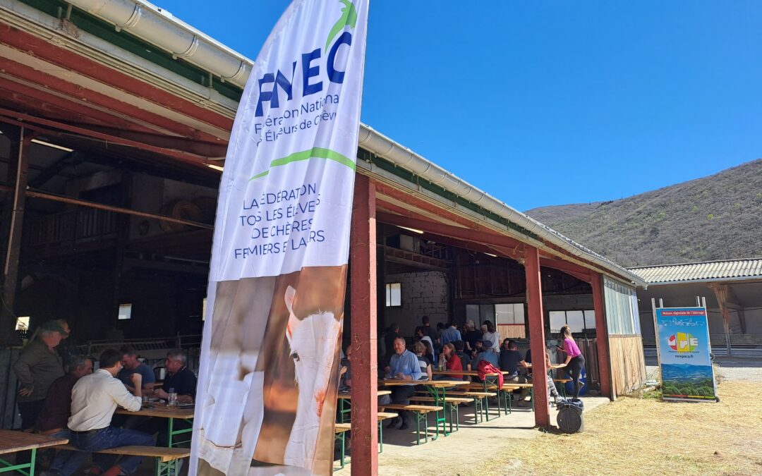 Retour sur l&rsquo;AG de la FNEC les 08-09 avril 2026 à Sisteron